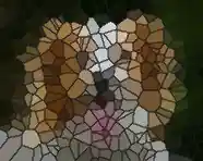 Résultat : même photo transformée en mosaïque polygone style vitrail avec cellules colorées et joints noirs